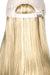 Ash Blonde with Platinum Blonde highlights (16H)