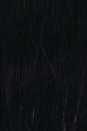 Ebony (R2)
