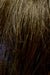 Golden Brown w Light Brown Blend (R8/12)