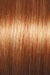 Shaded Iced Pumpkin Spice (SS29/33)